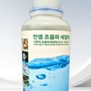 안셈 이미지