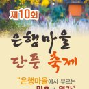 제10회 은행마을 단풍 축제 | 충남 보령 청라 은행마을 단풍축제: 버스킹과 체험이 가득한 가을 축제