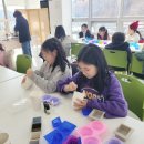 안의초등학교 이미지