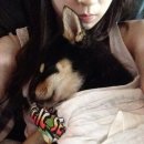 심바동물병원 이미지