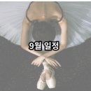 프리마발레학원 이미지