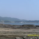 고성 Daum카페