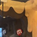 화산파크 | 제주 신화 월드/테마파크/스카이풀/불꽃놀이/화산 신화월드점 후기