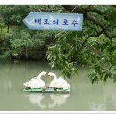 다수곡 이미지