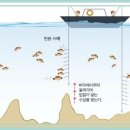 열기낚시.... 이미지