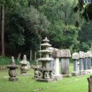 순천-38호 이미지