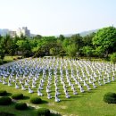 아리랑활력무 이미지