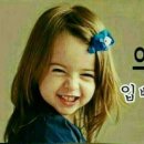 다 솜 이미지