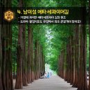 면목동-212 네이버블로그