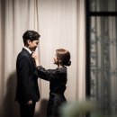 비비드스토리 네이버블로그