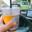 마들카센타 이미지