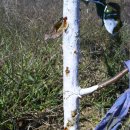 유리농원 이미지