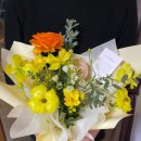 땅트플레르