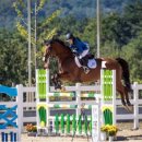 정남진 축산 이미지