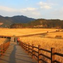 갈대정원 이미지