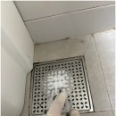 세이브프롬