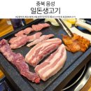 일돈생고기