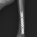 서부산동물메디컬센터 이미지