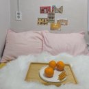 리브가 스테이 이미지