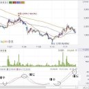 보조지표 SONAR[펌] 이미지