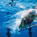 비엔케이 이미지