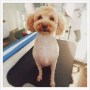 멍is뭔들 이미지