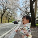 세븐일레븐 평택은혜로점 이미지