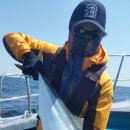 마린슈퍼 이미지