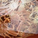 현정이네민박 이미지