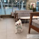 24시 더블유 동물의료센터 이미지