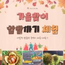 꼬뜨도르 가족호텔 이미지