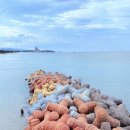 강원식자재마트 | 🌊강릉 사근진해변 포토스팟📸 &amp; 베스트코 식자재 마트 🧺 장보기 후기