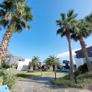 블루스프링리조트 이미지