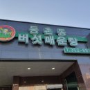 등촌동버섯매운탕 이미지