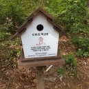 부춘산 유아숲체험원 이미지