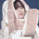 강아지나라 이미지