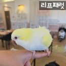 리프패럿시민공원점 이미지