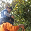 야호 어린이집 이미지