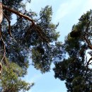 수산리-19 이미지