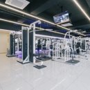 짐샤크 하안점 이미지