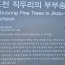 정만석 선생 묘 네이버블로그