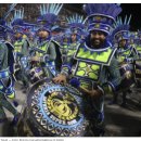 삼바 파고지 이미지