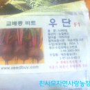 청정제주지역 레드비트 친사모특가 특10kg20.000원 무료택배 이미지