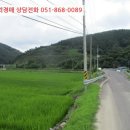 미천면-5 네이버블로그