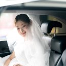 결혼 1주년 커플스냅 추천｜본식스냅 만족 후 재촬영 (포에버아워러브 계약 후기)
