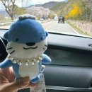 진주 촉석루 | 진주 촉석루 근처 하모스토어 진주시 마스코트 하모 키링 구매 후기