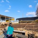 안성축산 이미지