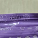 향기로운세탁 | [제품/후기] 간편하고 향기로운 세탁이 가능한 캡슐세제_데니스엘