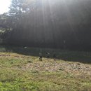 금관절경 이미지