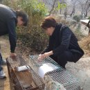 4월 23일, 길고양이 토크쇼 오시는 분은 힐스펫 사료 1포 무료 증정합니다. 이미지